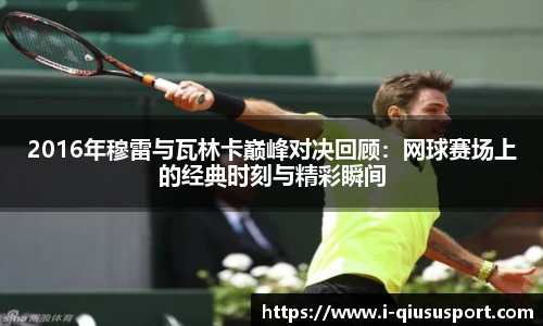 球速体育官方入口